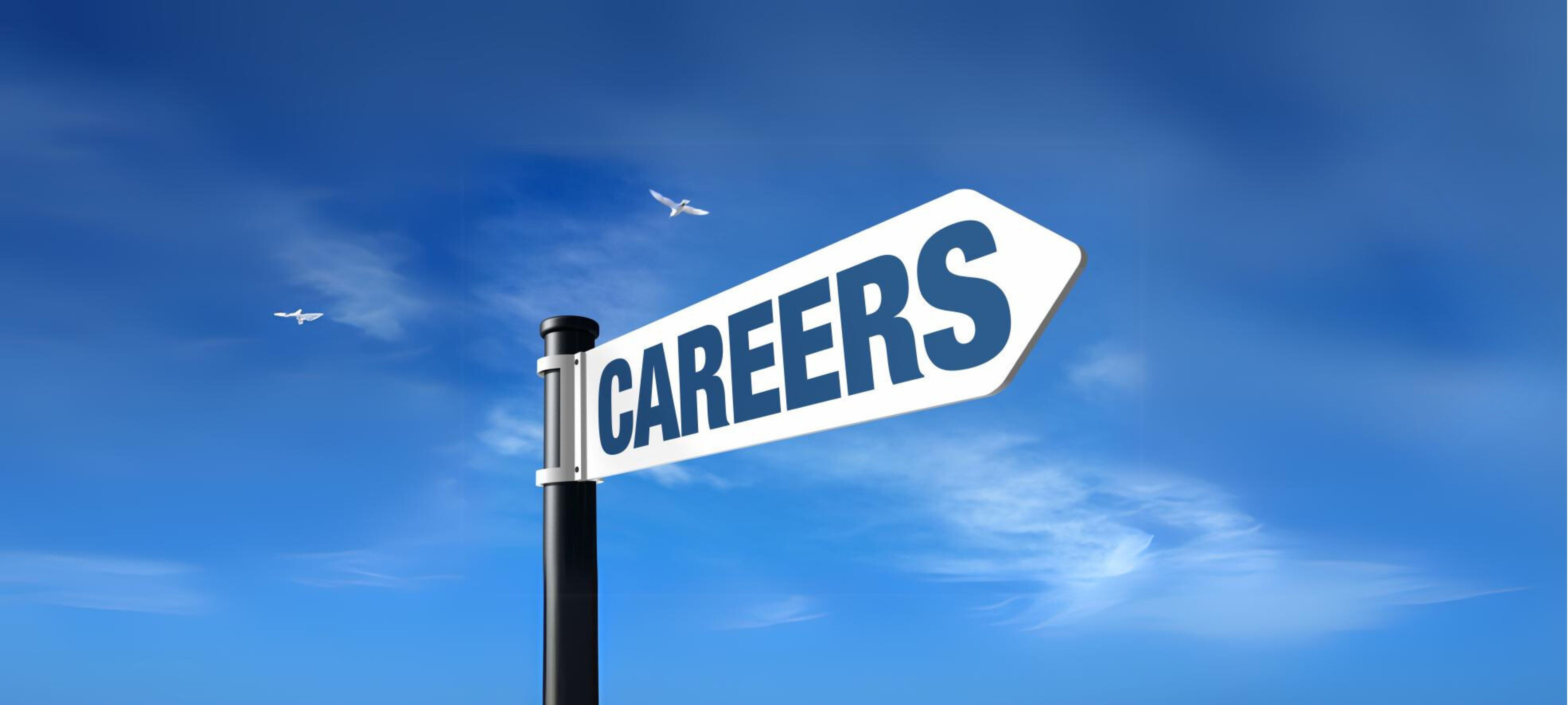 Image of Careers at Nexus Disposal